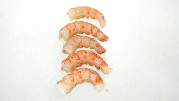 Wild Argentinean Peeled Shrimp Tails